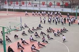 《假先发（Opener）策略：光芒队如何用穷人思维颠覆棒球传统？》